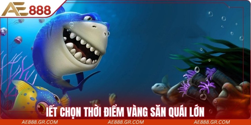 Biết chọn thời điểm vàng săn quái lớn siêu hời